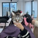 미니스톱광주엔씨점 | 광주 충장로 미용실 복구매직 추천 라움하제