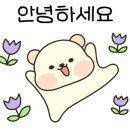 시흥탑애견미용학원 이미지