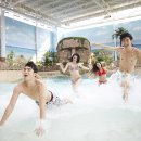 롯데워터파크(스파) 이미지