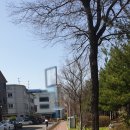 어머니공인중개사사무소 이미지