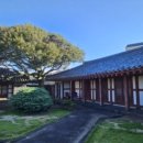 조천리금대 이미지