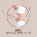 테라노바