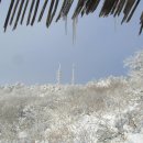 12월 30일 (일요일)[ 07:00 출발] 전남 광주 국립공원 무등산(해발1,187m) 새인봉 눈꽃산행 이미지