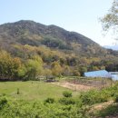 방목농장 이미지