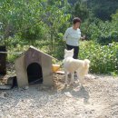 강촌이모네 이미지