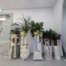 치과블로그, 신환 277명 찍은 역대급 마케팅 공개&lt;D본원&gt;