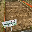 24년 4월 마지막 주 5월 첫 주 일기