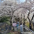 남산그린슈퍼 이미지