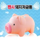 538 이미지