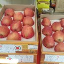 법인이천로컬푸드