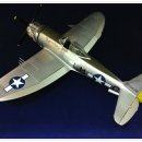 P-47 THUNDERBOLT 프로젝트 완성작 한번에 보기 이미지