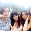 찜스찜스 이미지