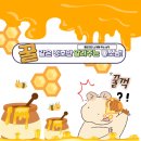 정리수납의 달인1 | 투명 서랍형 슬라이딩 리빙박스 솔직 사용 후기! 정리력 만점 수납 꿀템