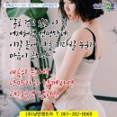 엘자동차정비공업사 | 무안공업사/목포공업사/임성리공업사/낭만카/엘공업사/낭만카협력업체/임성리자동차정비