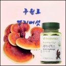 뉴스킨 레이뉴 | 효능 영지버섯 자실체로 면역 관리하는 방법, 면역력이 걱정될 때 뉴스킨 레이시맥스 복용 후기 총정리
