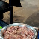 돗배갈매기