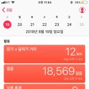 오늘의 경주 네이버블로그