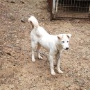 단비농장 이미지