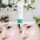 25시카 | 눈시림 없는 선크림 추천 진정 시카크림 함유 순한 무기자차 스와니코코 자외선차단제 후기