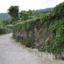 청산도느림보마을 이미지