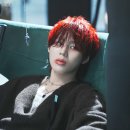 Strange World 이미지