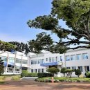 남해군장애인복지센터 이미지