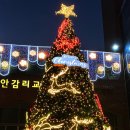 주안장식