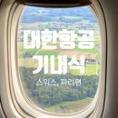 대한항공 이코노미 기내식 후기, 인천 - 스위스행, 파리 - 인천행 서유럽 기내식