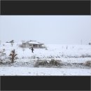 장성목장 이미지