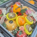 싱싱청과 이미지