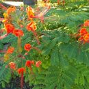 동희모터스 이미지