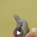 이벤트박스(EVENT BOX) 이미지