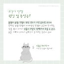 부평종합동물의료센터 이미지