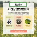 후불제상조다온상조 네이버블로그