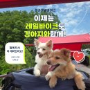 경강레일바이크 펫바이크 할인 예약 팁, 반려생활 어플 이용 강아지 몸무게 제한 후기