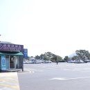 제주 정방폭포 바다로 이어지는 멋진 풍경에 감탄이 절로 나네~