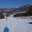 할머니농박 이미지