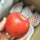 별티농원 | 부사 사과 품종 청송 사과 유명한 곳 정담아농원 새콤달콤 맛있는 햇사과 찾는다면 여기