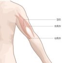 머슬핫바디 이미지