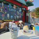 똥강아지네 | 해운대 해변열차 코스, 오션뷰+애견동반 카페 '스위티 똥강아지'방문후기