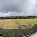 퍼시픽블루제주 이미지