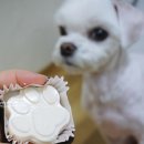 부농까까 이미지