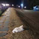 까망펜션 이미지