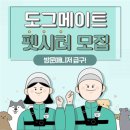 도그매니저 이미지