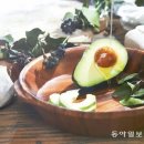 모두의 아보카도