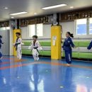 한국체대 비호태권도 이미지