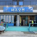 서프오션 양양