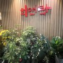 달인  숯  바베큐 이미지