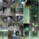 왕산모터스 이미지