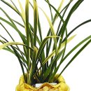 승진이네 농장 이미지